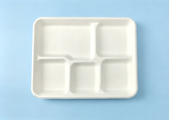 5-Compt tray