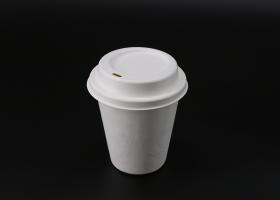 Molded Pulp Cup Lid