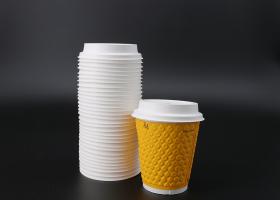 Molded Pulp Cup Lid