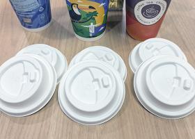 Molded Pulp Cup Lid