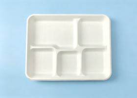 5-Compt tray